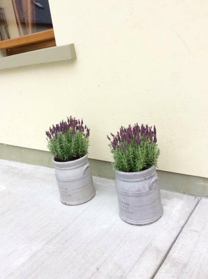 밸리셰넌 Holland House B&B 외부 사진